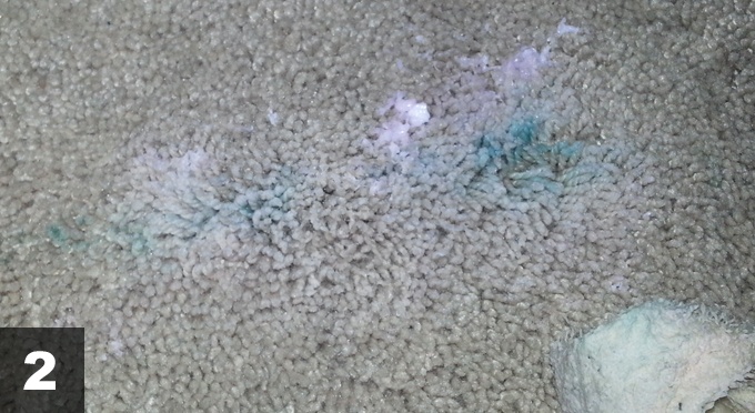 cleaning marker on carpet step 2
