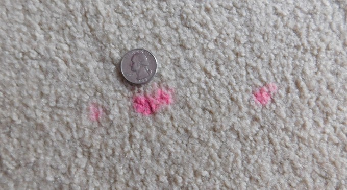 Pink thinking putty on carpet