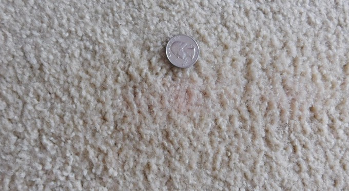 putty removed from carpet