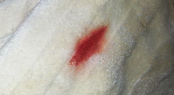 blood-stain-bath-towel-step-1