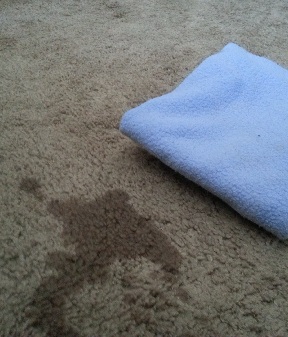 Girl Peeing On Carpet